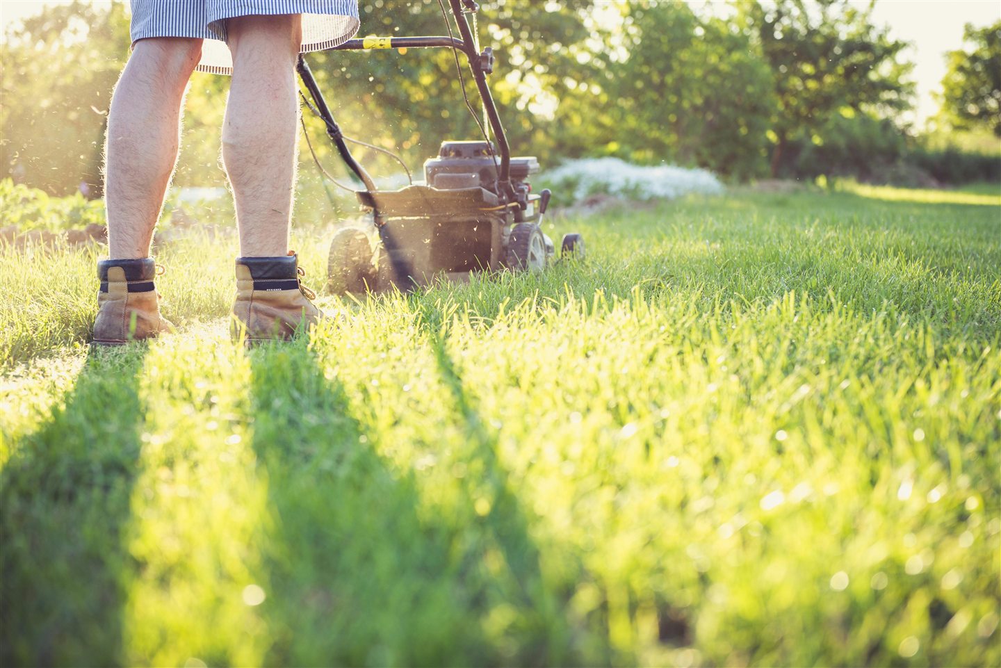 Generic lawn maintenance photo showing a mower cutting fresh grass.